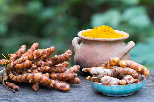 CURCUMA (Tumeric)
