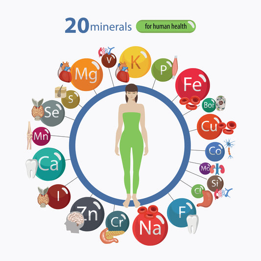 THE ULTIMATE NUTRITION GUIDE FOR ALL VITAMINS AND MINERALS - CHAPTER V