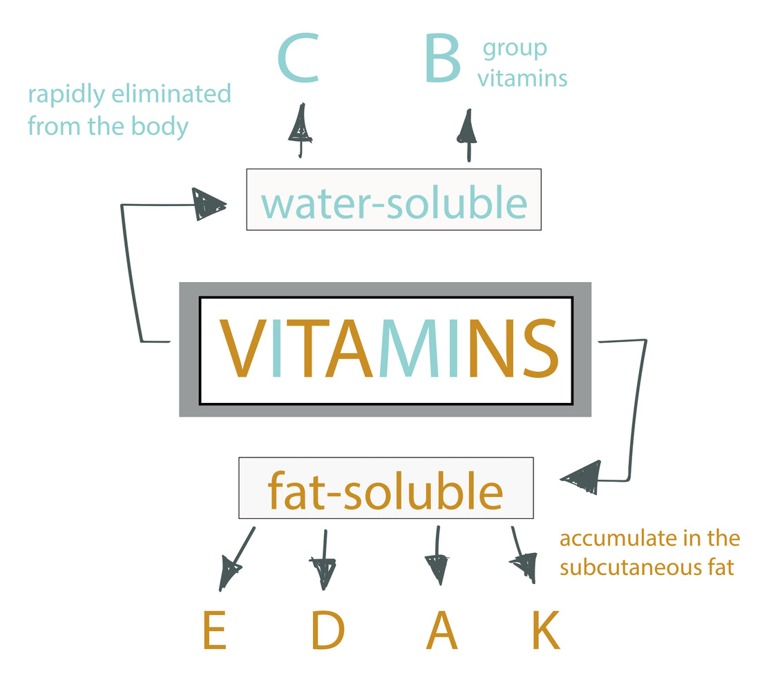 THE ULTIMATE NUTRITION GUIDE FOR ALL VITAMINS AND MINERALS - CHAPTER II: WATER SOLUBLE VITAMINS (PART 1)