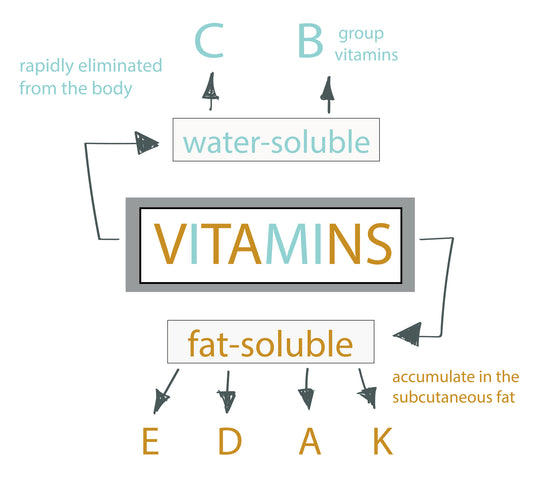 THE ULTIMATE NUTRITION GUIDE FOR ALL VITAMINS AND MINERALS - CHAPTER II: WATER SOLUBLE VITAMINS (PART 1)
