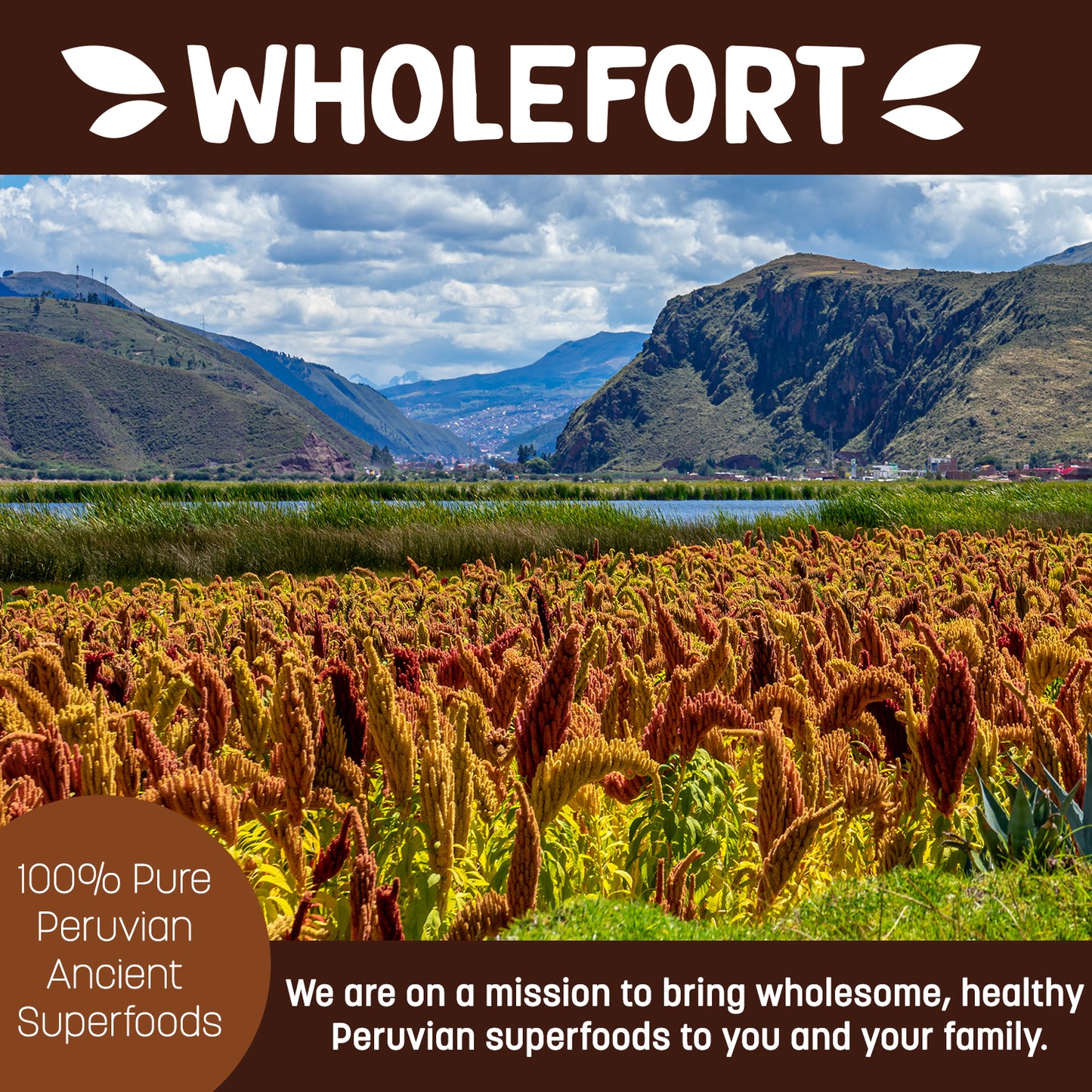 CHOCO QUINOA GRANOLA 26 OZ